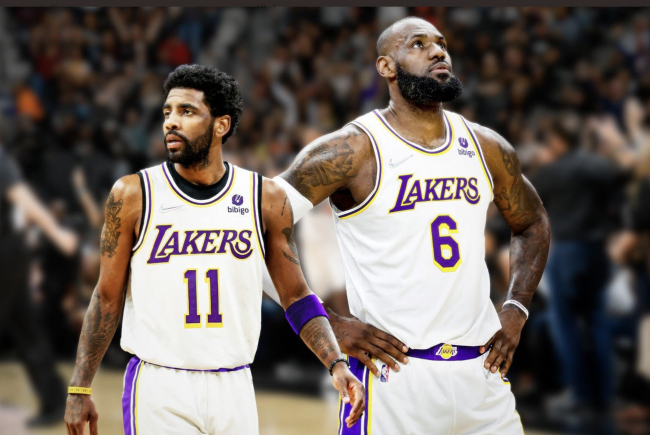 成稳定的自 成稳定的自