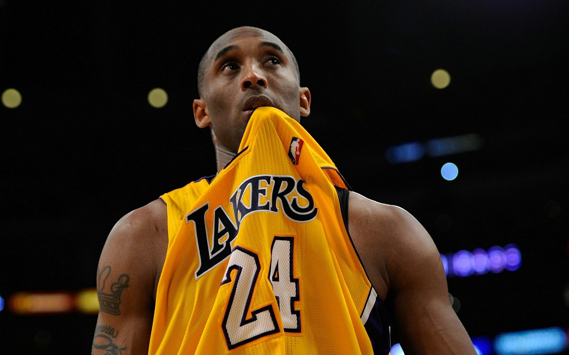 数据驱动复 数据驱动复